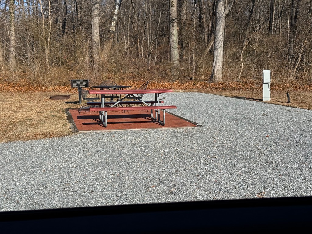 Premium Back In Site